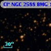 Cl* NGC 2588    BMG    1728