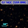 Cl* NGC 2588    BMG    2044