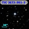 TYC 3673-981-1