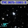 TYC 3673-1161-1
