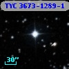 TYC 3673-1289-1