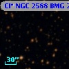 Cl* NGC 2588    BMG    2446