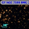 Cl* NGC 2588    BMG    2491