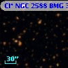 Cl* NGC 2588    BMG    3117