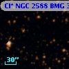 Cl* NGC 2588    BMG    3145