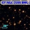 Cl* NGC 2588    BMG    3147