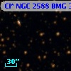 Cl* NGC 2588    BMG    3174