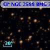 Cl* NGC 2588    BMG    3181
