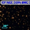 Cl* NGC 2588    BMG    3213