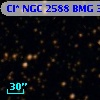 Cl* NGC 2588    BMG    3228