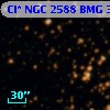 Cl* NGC 2588    BMG    3241