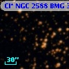 Cl* NGC 2588    BMG    3262