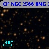 Cl* NGC 2588    BMG    3314