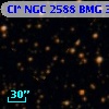 Cl* NGC 2588    BMG    3337