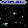 TYC 3677-667-1
