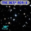 TYC 3677-929-1