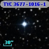 TYC 3677-1016-1