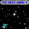TYC 3677-1060-1