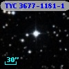 TYC 3677-1181-1