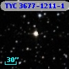 TYC 3677-1211-1