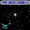 TYC 3677-1260-1