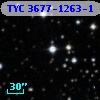 TYC 3677-1263-1