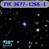 TYC 3677-1266-1