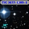 TYC 3677-1309-1