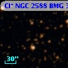 Cl* NGC 2588    BMG    3566