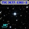 TYC 3677-1365-1