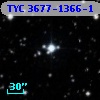 TYC 3677-1366-1