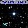 TYC 3677-1384-1