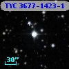TYC 3677-1423-1
