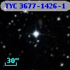 TYC 3677-1426-1