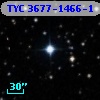 TYC 3677-1466-1