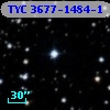 TYC 3677-1484-1