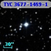 TYC 3677-1489-1
