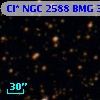 Cl* NGC 2588    BMG    3681