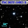 TYC 3677-1492-1