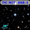 TYC 3677-1660-1