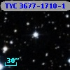 TYC 3677-1710-1