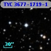 TYC 3677-1719-1
