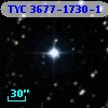 TYC 3677-1730-1