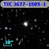 TYC 3677-1809-1