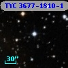 TYC 3677-1810-1