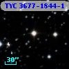TYC 3677-1844-1