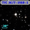 TYC 3677-1860-1