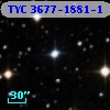 TYC 3677-1881-1