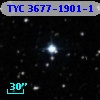 TYC 3677-1901-1