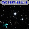 TYC 3677-1911-1